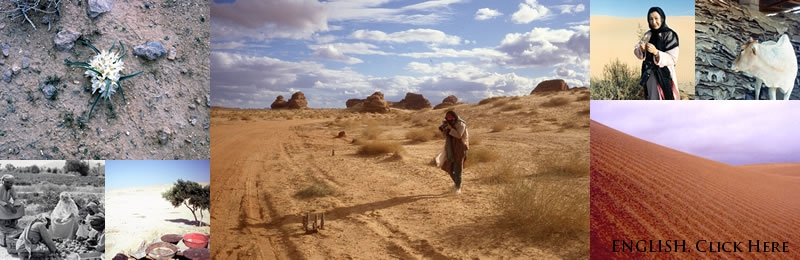 Motoko Katakura Foundation for Desert  Culture 片倉もとこ記念沙漠文化財団